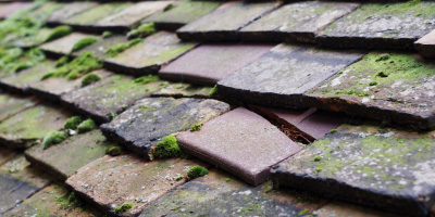 Ridgmont roof repair costs